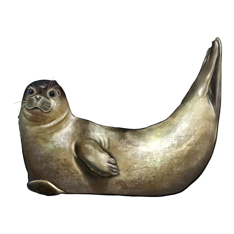 Sea Seal Ladies Tee by LillyAllenDesigns | Teevron