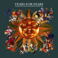 Tears For Fears 24 Premium Hoodie | Teevron