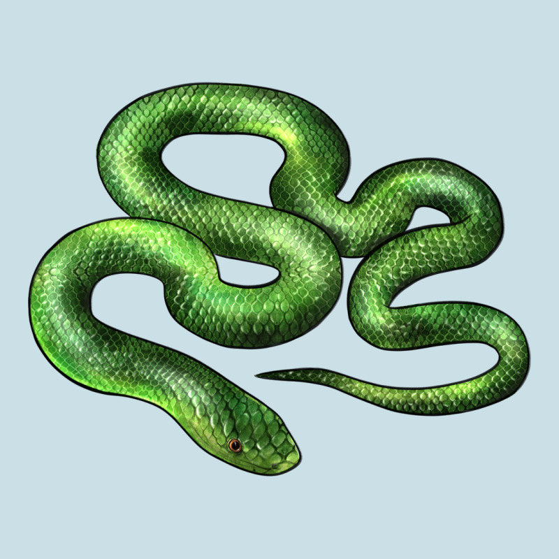 Boomslang Snake Ladies Tee by LillyAllenDesigns | Teevron