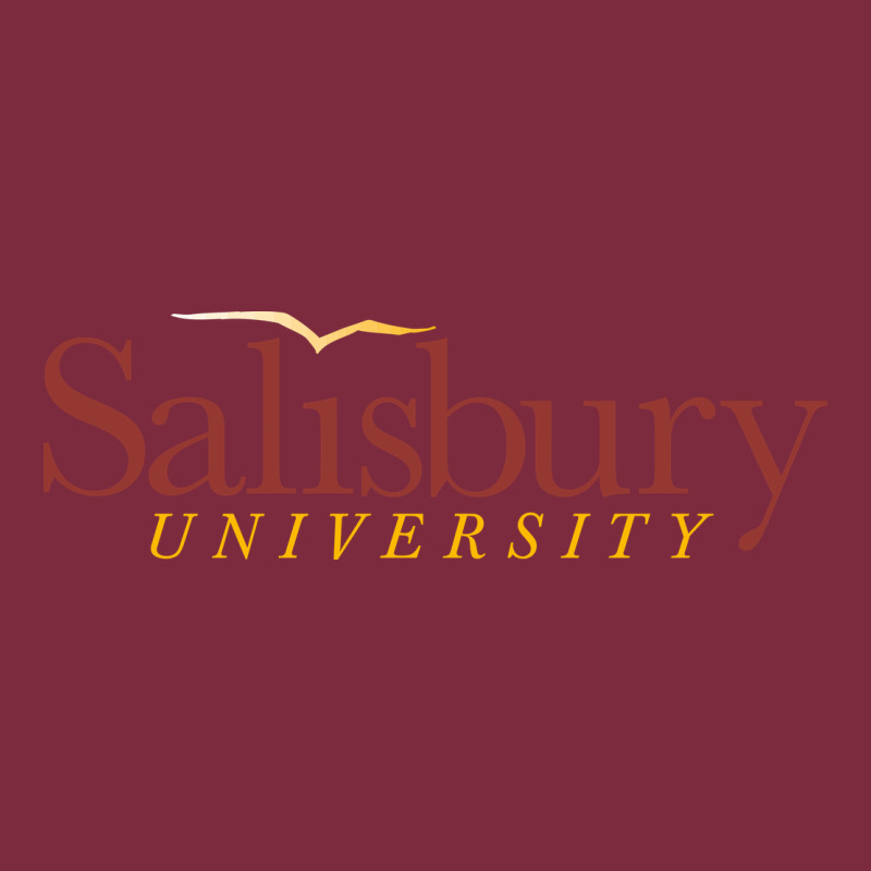 Salisbury University Premium Hoodie by linhVisuals | Teevron