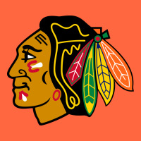 The  Blackhawks Premium Hoodie | Teevron