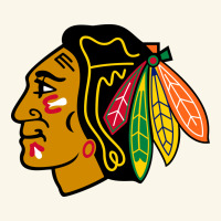 The  Blackhawks Premium Hoodie | Teevron