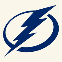 The Lightning Premium Hoodie | Teevron
