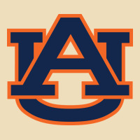 Auburn Tigers Premium Hoodie | Teevron