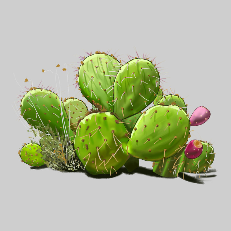 Desert Prickly Pear Cactus Premium Tee by LillyAllenDesigns | Teevron