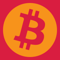 Bitcoin Ledger Blockchain Satoshi Btc Premium Hoodie | Teevron