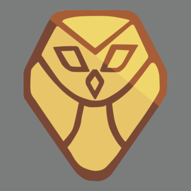 The Owl House Premium Hoodie by linhVisuals | Teevron