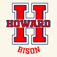 Howard 1867 University Premium Hoodie | Teevron