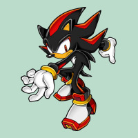 Shadow The Hedgehog Premium Hoodie | Teevron