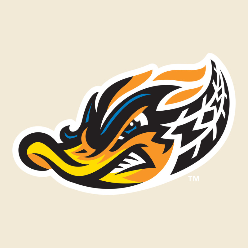 Akron-rubber-ducks Premium Hoodie by linhVisuals | Teevron