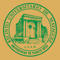 Upr At Mayaguez Premium Hoodie | Teevron