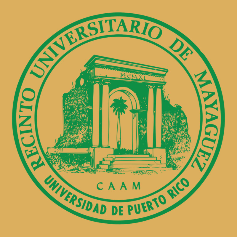 Upr At Mayaguez Premium Hoodie by linhVisuals | Teevron