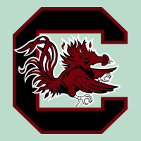 The Gamecocks Athletics Premium Hoodie | Teevron