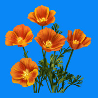 California Poppy Flower Zipper Hoodie | Teevron