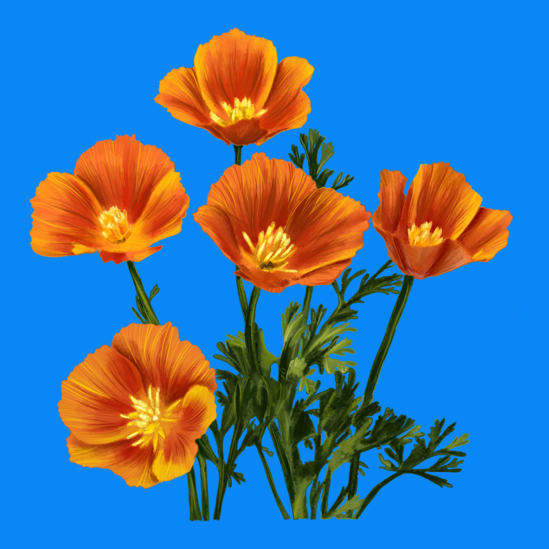 California Poppy Flower Zipper Hoodie by RanaPortraitStore | Teevron
