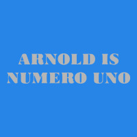 Arnold Is Numero Uno Premium Hoodie | Teevron
