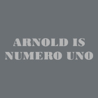 Arnold Is Numero Uno Premium Hoodie | Teevron