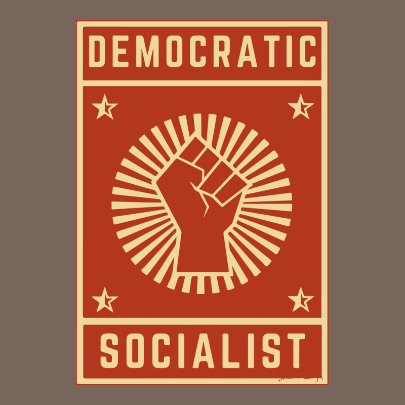 Democratic Socialist Premium Hoodie by linhVisuals | Teevron