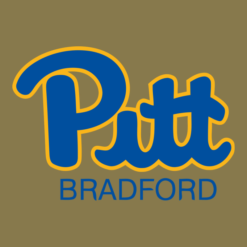 Pitt Bradford, University Of Pittsburgh At Bradford, Premium Hoodie by linhVisuals | Teevron