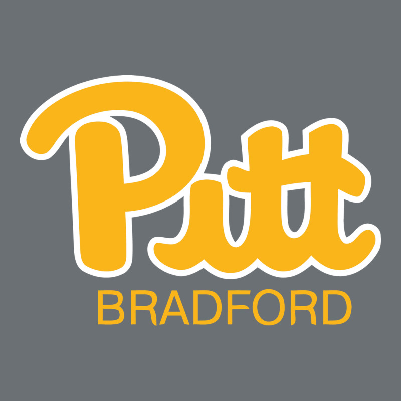 Pitt Bradford, University Of Pittsburgh At Bradford, Premium Hoodie by linhVisuals | Teevron