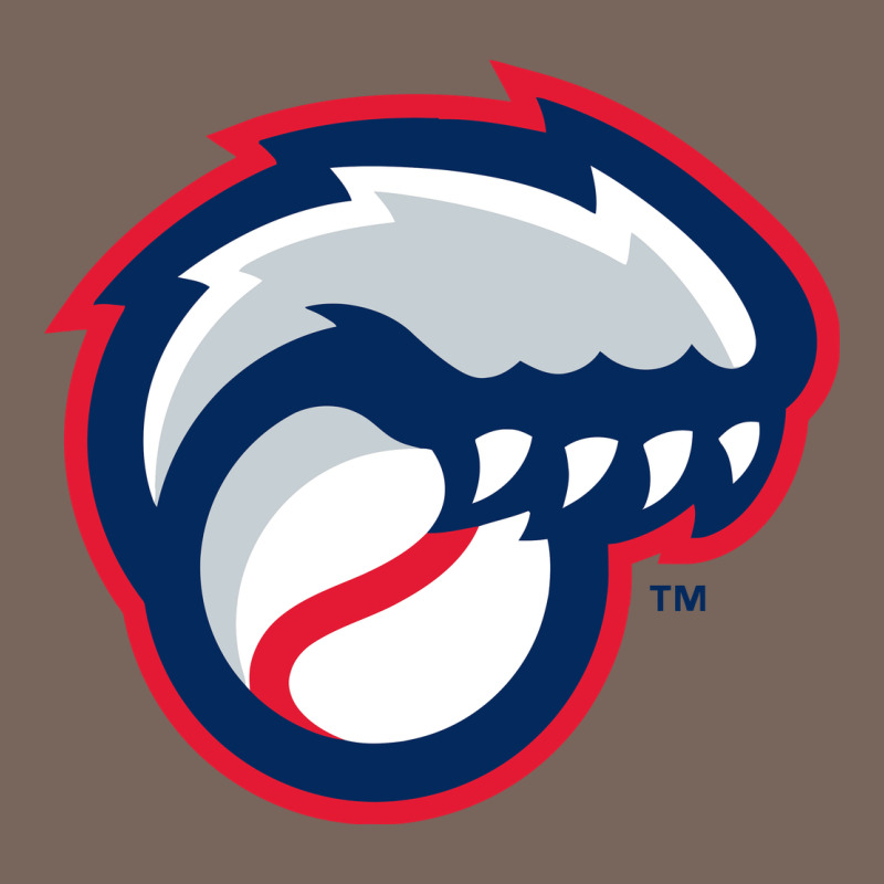 New Hampshire Fisher Cats Premium Hoodie by linhVisuals | Teevron