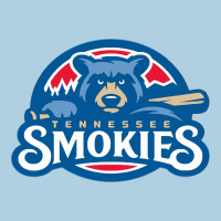 Tennessee Smokies Premium Hoodie | Teevron