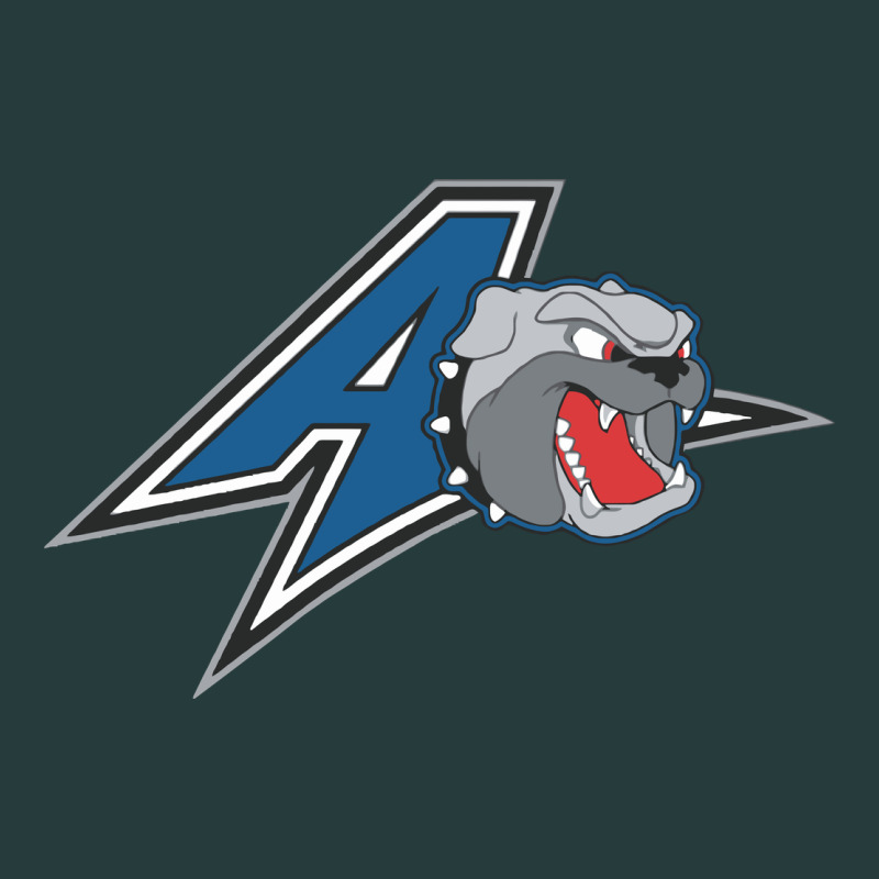 Unc Asheville Bulldogs Premium Hoodie by linhVisuals | Teevron