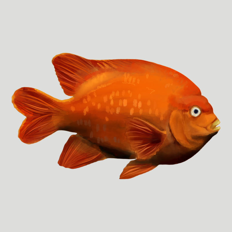 California Garibaldi Fish Zipper Hoodie by RanaPortraitStore | Teevron