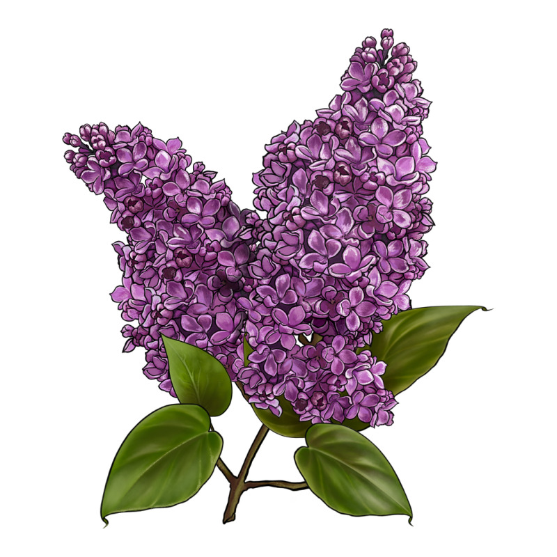 Purple Lilac Flower Premium Tee by LillyAllenDesigns | Teevron