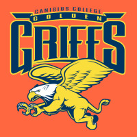 Canisius Golden Griffins College Premium Hoodie | Teevron