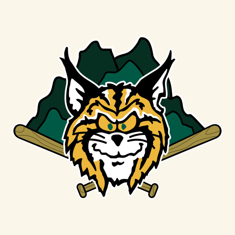 Lynchburg Hillcats Baseball Premium Hoodie by linhVisuals | Teevron