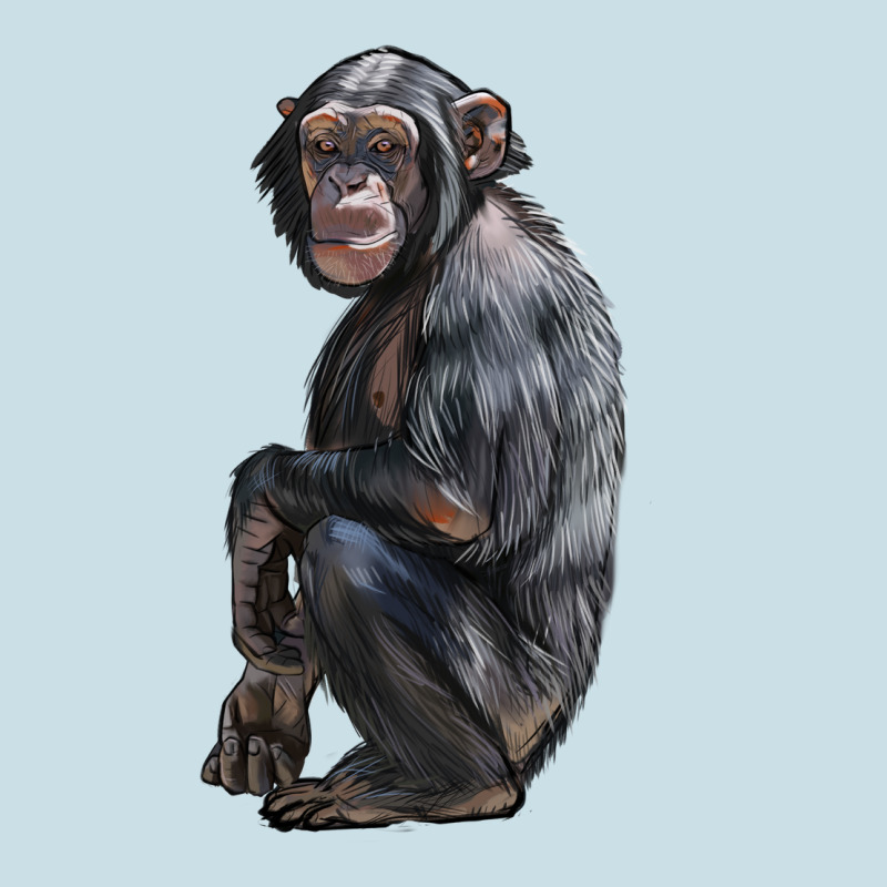 Chimpanzee Illustrations Ladies Tee by LillyAllenDesigns | Teevron