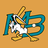 The Myrtle Beach Pelicans Baseball Premium Hoodie | Teevron