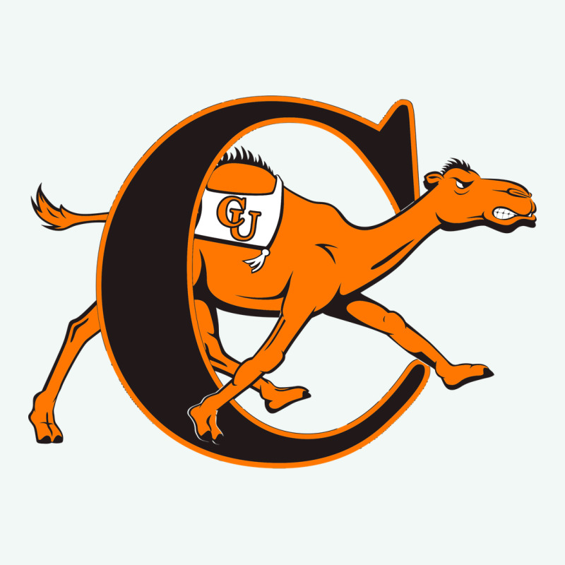 Campbell Fighting Camels Premium Hoodie by linhVisuals | Teevron