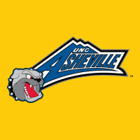 Unc Asheville Bulldogs Premium Hoodie | Teevron