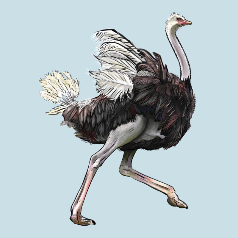 Ostrich Ladies Tee by LillyAllenDesigns | Teevron