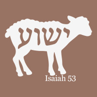 Isaiah 53 Lamb Yeshua Jesus T Shirt Premium Hoodie | Teevron
