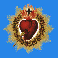 Sacred Heart Of Jesus Catholic Devotion T Shirt Premium Hoodie | Teevron