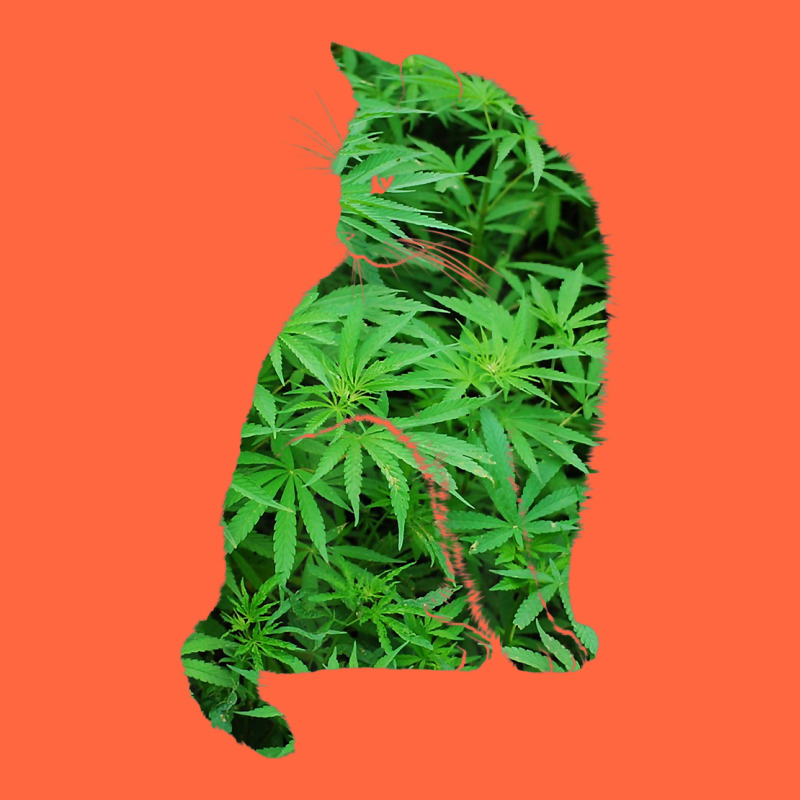 Funny Cannabis & Cat Lover Marijuana Weed Smoker Art T Shirt Premium Hoodie by linhVisuals | Teevron