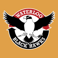Waterlooblackhawks Premium Hoodie | Teevron