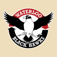 Waterlooblackhawks Premium Hoodie | Teevron