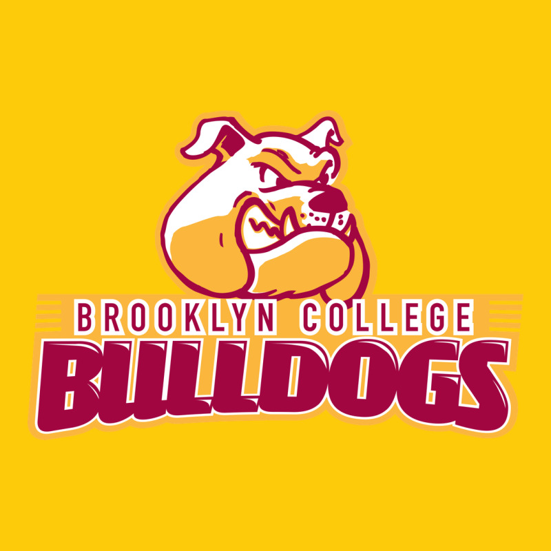 Brooklyn College Premium Hoodie by linhVisuals | Teevron