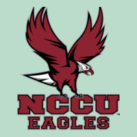 Nccu Eagles Premium Hoodie | Teevron
