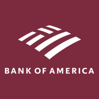 Financial Services Company America Premium Hoodie | Teevron
