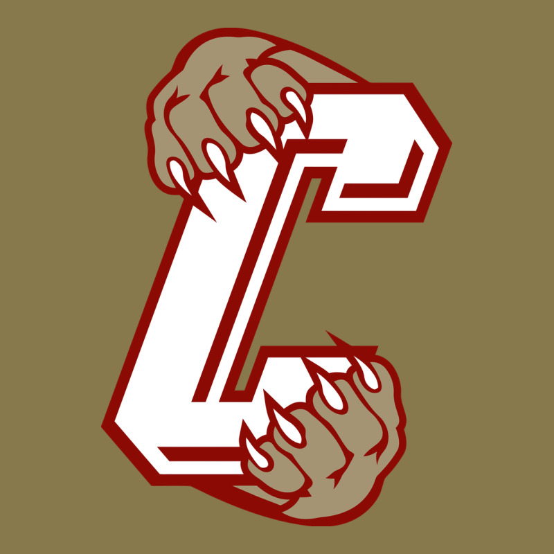 Charleston Cougars Premium Hoodie by linhVisuals | Teevron