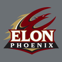 Elon Phoenix Premium Hoodie | Teevron