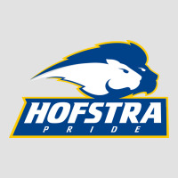 Hofstra Pride Premium Hoodie | Teevron