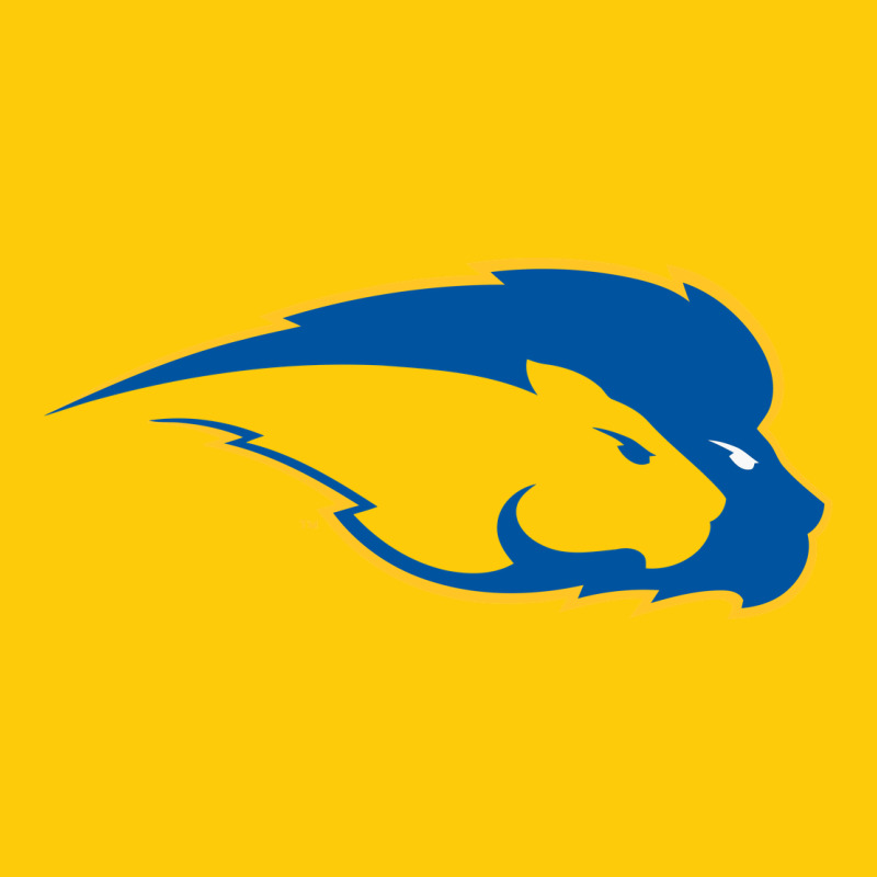 Hofstra Pride Premium Hoodie by linhVisuals | Teevron