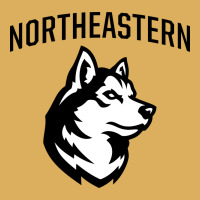 Northeastern Huskies Premium Hoodie | Teevron