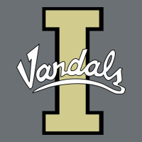 Idaho Vandals Football Team Premium Hoodie | Teevron